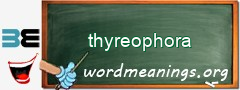 WordMeaning blackboard for thyreophora
